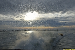 Venice kite festival_0252